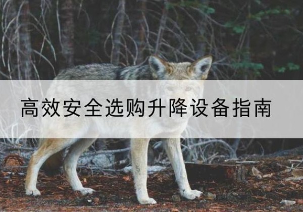 白云鄂博矿升降货梯厂家推荐-*安全选购升降设备指南