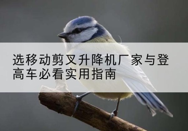 白云鄂博矿电动升降机厂家-选移动剪叉升降机厂家与登高车必看实用指南
