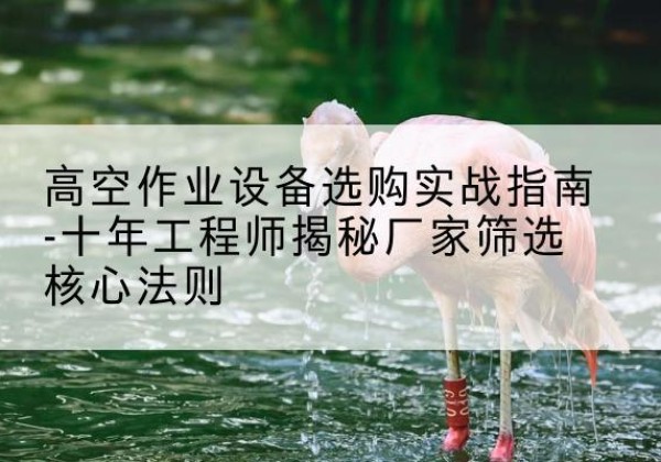白云鄂博矿剪叉式升降机厂家-高空作业设备选购实战指南-十年工程师揭秘厂家筛选核心法则